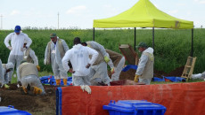 Remains of 124 persons exhumed from mass graves in Shingal