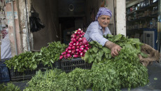 Price of vegtables and fruits doubled in Kirkuk