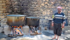 Laleş Tapınağı’nda zeytin hasadı