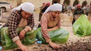 عصر وتخزين زيت الزيتون لقناديل معبد لالش الـ366