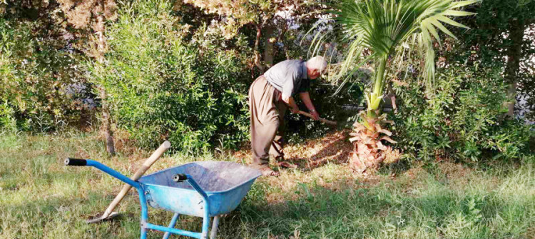 A local keeps the neighborhood park green as the government is missing