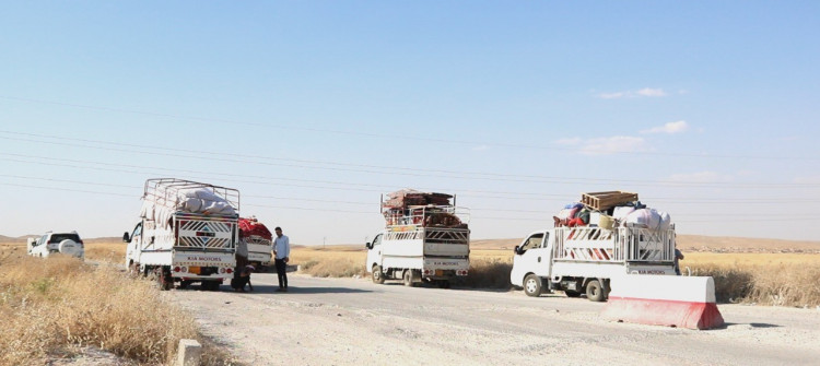 IOM: up to 200,000 Yazidis are still displaced