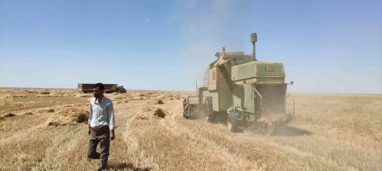 State silos in Mosul open doors for wheat of farmers