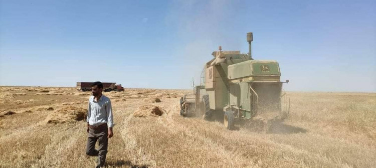 Ninova siloları çiftçilerden buğday almaya başladı