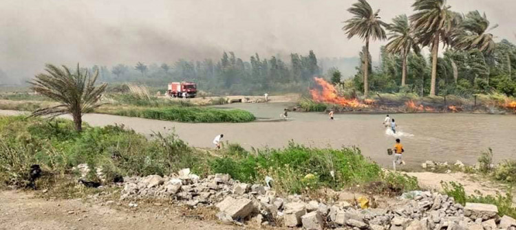 "خوێن بە خوێن"<br>سوڵحی عەشایەری بۆ دۆسییەی كوشتنی كچێكی 16 ساڵ لە جەلەولا