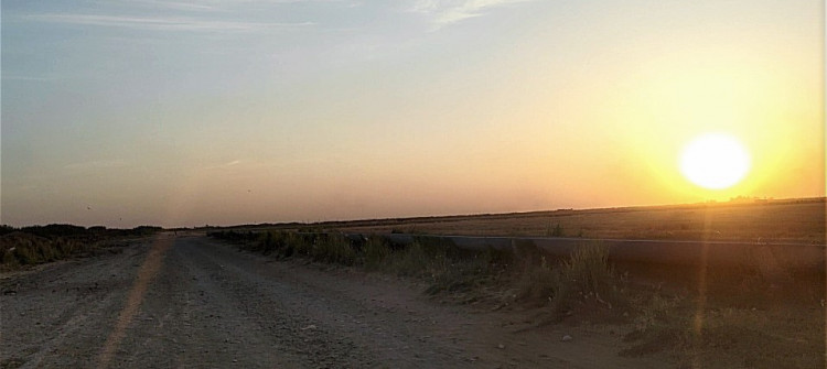 A man killed & son injured by militants west of Kirkuk