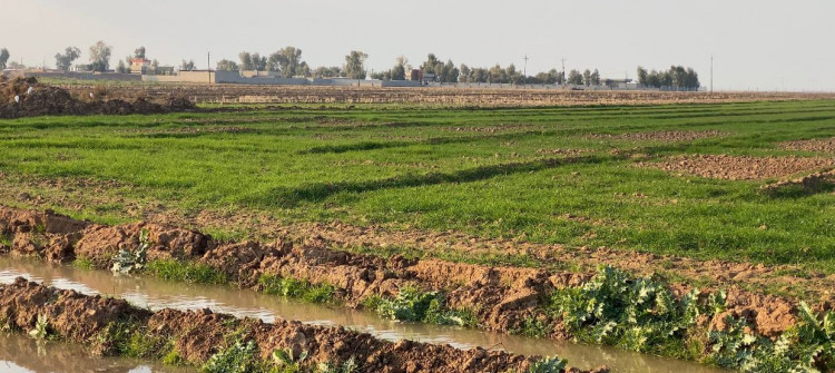 دادگای پێداچونەوەی فیدراڵی<br>4000 دۆنم زەوی كشتوكاڵی بۆ جوتیارانی كورد گەڕاندەوە