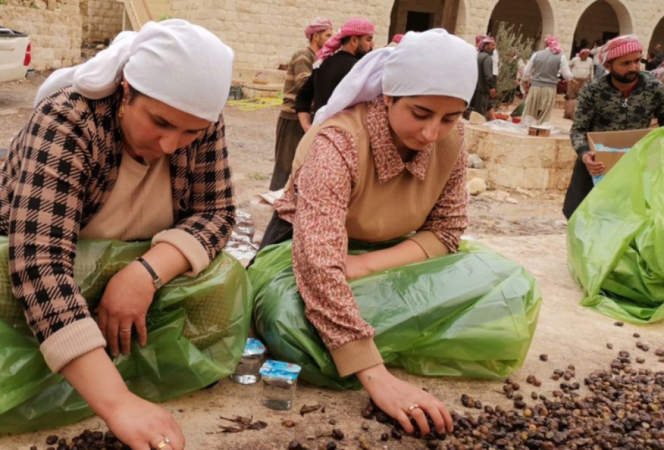 عصر وتخزين زيت الزيتون لقناديل معبد لالش الـ366