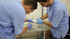اول عيادة تخصصية لعلاج الحيوانات  في الموصل