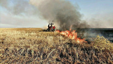 Some 30 donums of wheat crop fields in Shingal set on fire