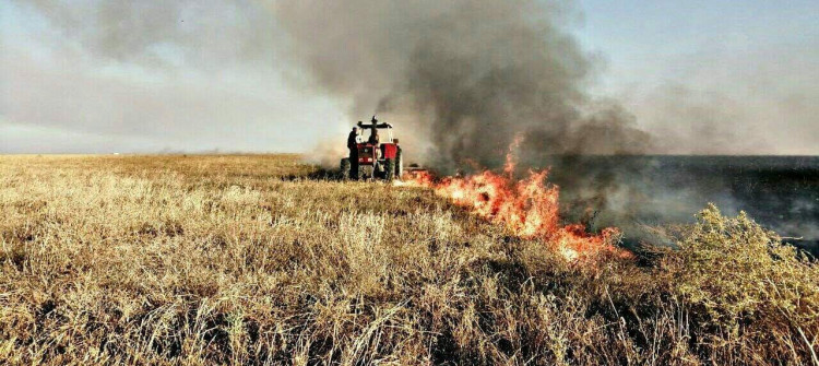 یەكەم رۆژی جەژن نزیكەی 30 دۆنم زەوی چێنراو بە گەنم  لە شنگال سوتا