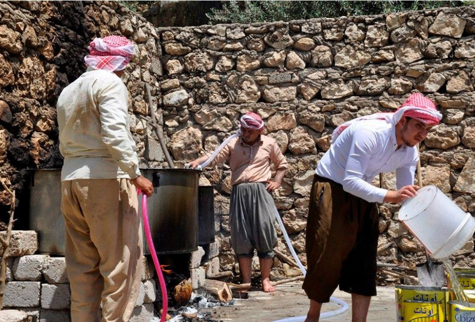 The oil they produce is used to light 366 candles of Lalish temple throughout the year.