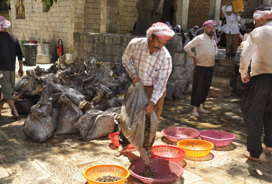 The olives are later stored at the main oil store in Lalish until April.