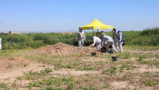 Adli ekipler, Sincar'da iki Ezidi toplu mezarını ortaya çıkardı