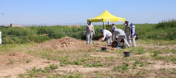 Adli ekipler, Sincar'da iki Ezidi toplu mezarını ortaya çıkardı