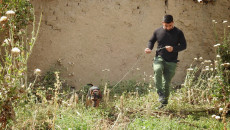 لانه‌ هێشتا نه‌دۆزراوه‌ته‌وه<br>حه‌شدی شه‌عبی به‌ سه‌گی پۆلیسی به‌دوایدا ده‌گه‌ڕێت