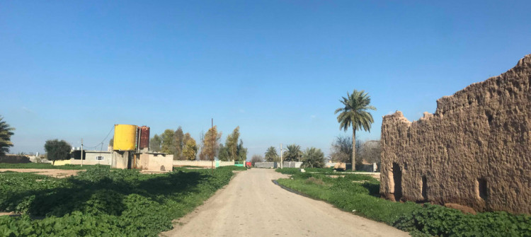 Kerkük'teki tarımsal arazi mülkiyeti anlaşmazlıkları Irak parlamentosuna yükseltilecek